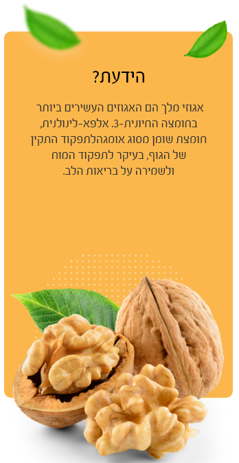 באנר אגוזי מלך